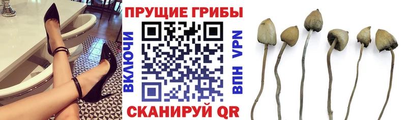 как найти   Назарово  Псилоцибиновые грибы мухоморы 